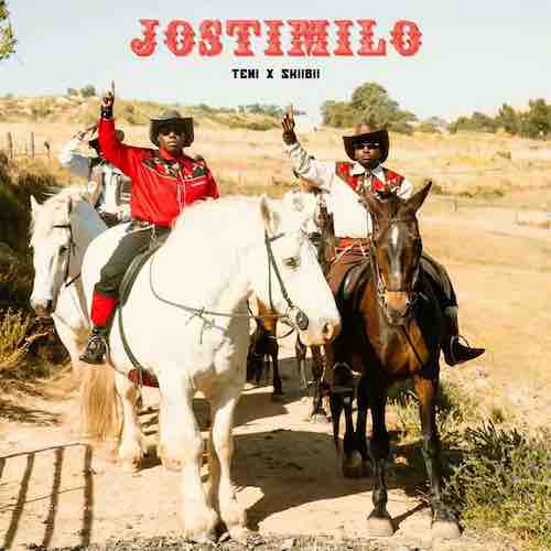 Download Teni-ft-Skiibii-Jostimilo-[Nersiradio.com]